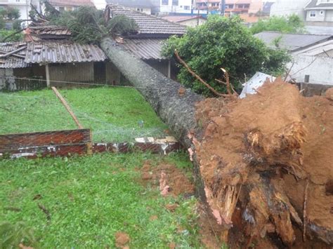 . chuva de pedra e chuva de granizo e pequenos amassados . provocados por batidas em geral onde não há remoção da tinta. PR: Chuva de granizo e vendaval provocam estragos em ...