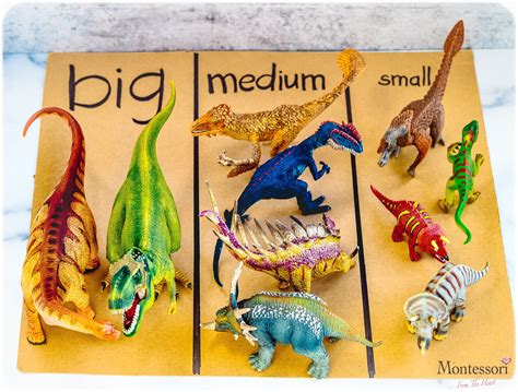 Dinosaur Measure Sort Kids Activities Dinosaur Activities Preschool