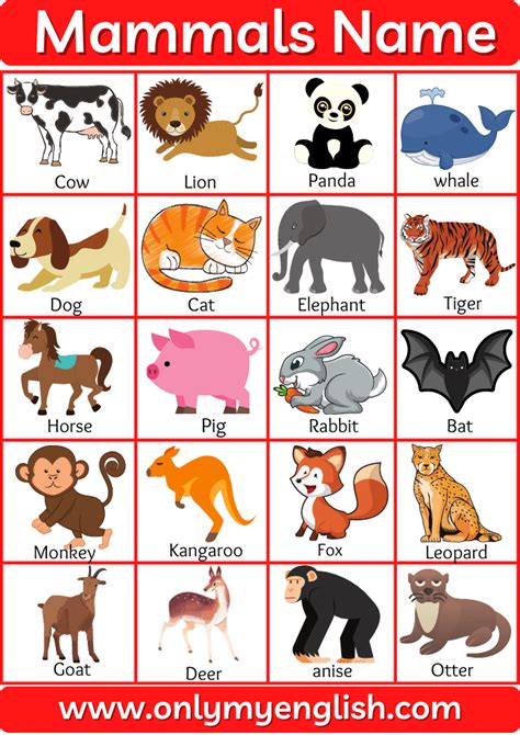 Mammals List