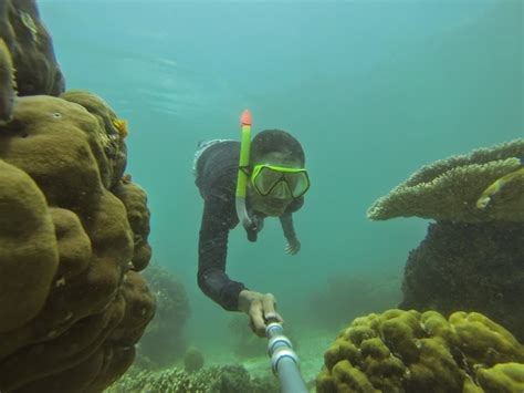 Penawaran harga paket one day trip teluk biru banyuwangi ini tidak berlaku dalam hubungannya dengan hari besar, seperti lebaran, natal, akhir tahun, dan hari khusus lainnya. 4 Spot Snorkeling Ini Patut Untuk Lo Kunjungi Ketika ...