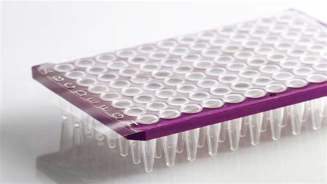 Sealing Film For Pcr Qpcr Plates 100 Films Genaxxon Bioscience