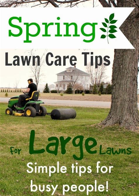 Spring Lawn Care Tips For Large Lawns The Creek Line House
