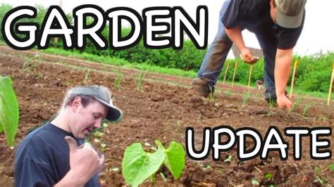 Garden Update Youtube