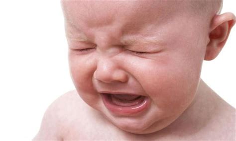 ¿por Qué Los Bebés Lloran Sin Lágrimas Periódico Am