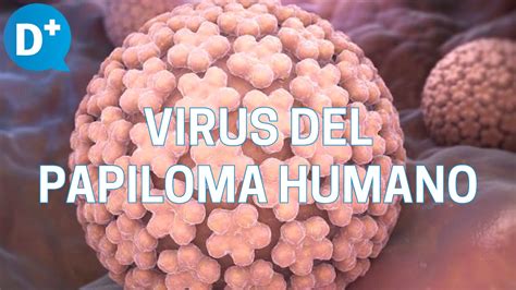 El Virus Del Papiloma Humano Tambi N Afecta A Los Hombres Youtube