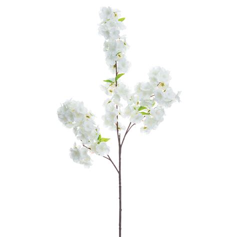 Cherry Blossom Branch White Rfd