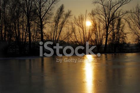 Winter Afternoon Stock Photo Royalty Free Freeimages