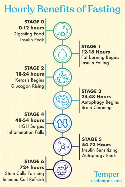 Hourly Benefits Of Fastingstage 00 12 Hoursdigesting Foodinsulin Peakstage 1 12 18 Hoursfat