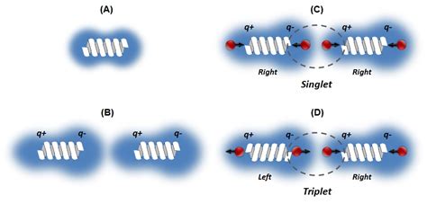 Chirality Induced Spin Polarization Places Symmetry Constraints On