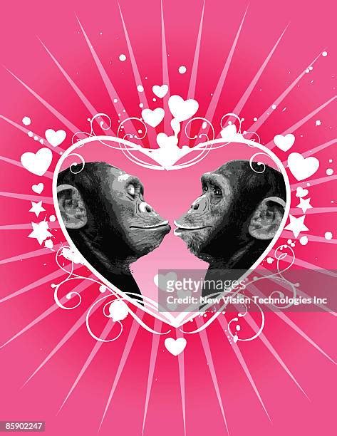 Two Monkeys Kissing Photos And Premium High Res Pictures Getty Images