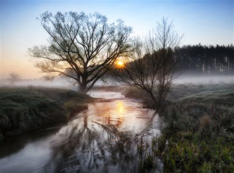 Spring Morning A Picturesque River Foggy Dawn Man In The Mirror