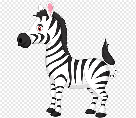 Zebra Kartun Kartun Zebra Karakter Kartun Mamalia Hewan Png Pngwing