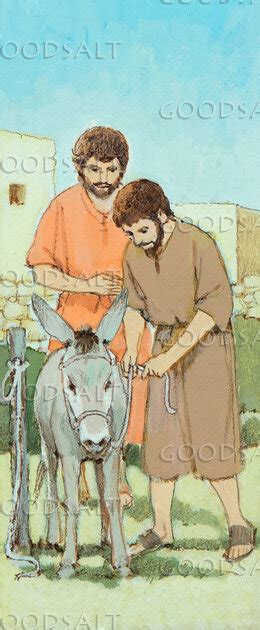 Disciples Obey And Get The Donkey For Jesus Goodsalt