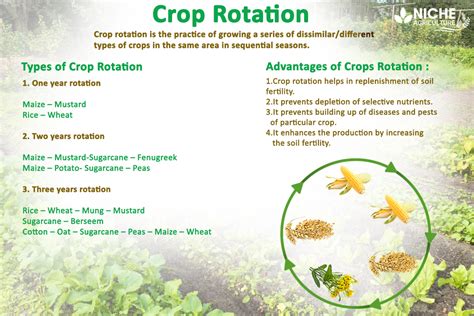 Pest management in organic farming. Crop Rotation-ImportantComponent of Organic Farming ...