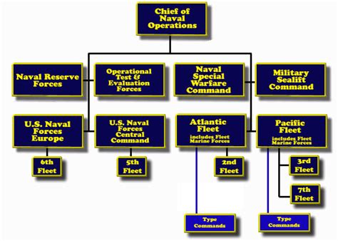 Overview Of Navy Units