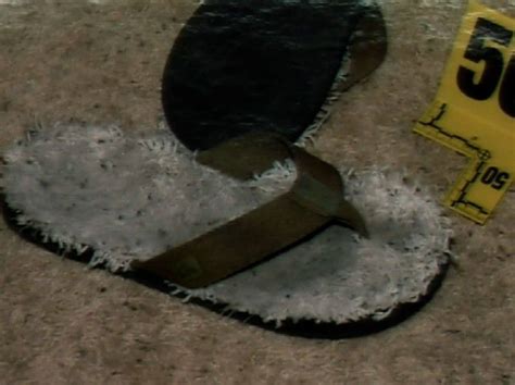 Investigators say she was found bludgeoned to death by a hammer inside her bonita springs home last summer. Pin on Chicken