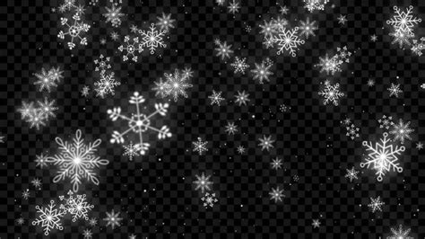 Snowflake Falling Stock Motion Graphics Motion Array