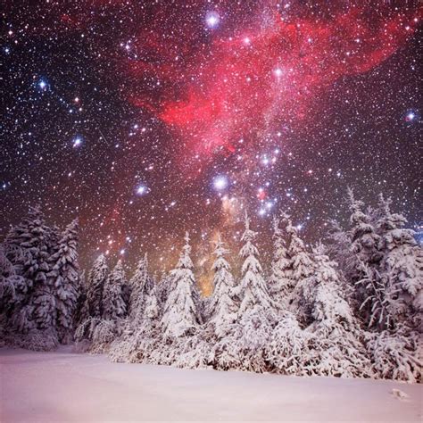 Aofoto 10x10ft Beautiful Snow Landscape Backdrop Starry