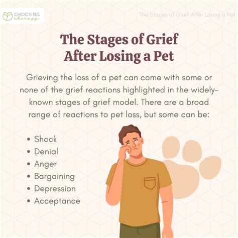 What Are The Stages Of Grief For Pet Loss