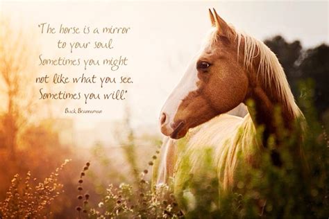 The Horse Is A Mirror To Your Sojl Horse Crazy Horse Life Majestic