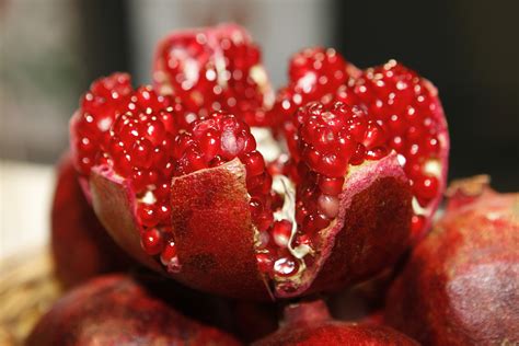 Red Round Fruit · Free Stock Photo