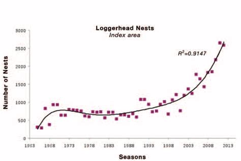 Nesting Trend For The Loggerhead Population Within The Index Sample