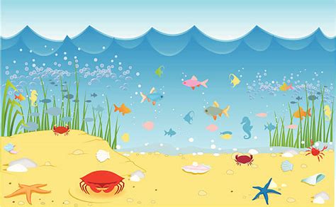 Royalty Free Ocean Floor Clip Art Vector Images And Illustrations Istock