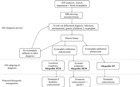 Idiopathic Eosinophilic Myositis A Systematic Literature Review