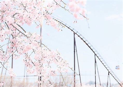 Feb 05, 2010 · wallpaper ndol friday, february 5, 2010. Pin on CHERRY BLOSSOM