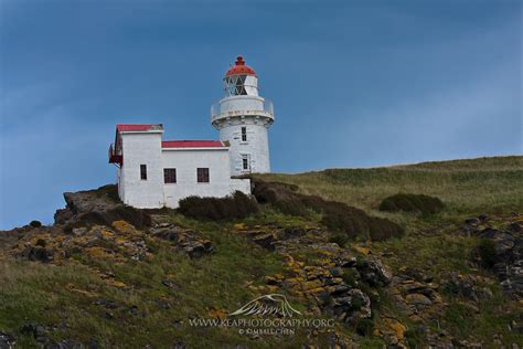 Lighthouse At Taiaroa Head Otago Peninsula Dunedin New