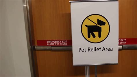 Indoor Pet Relief Area At The Seattle Tacoma International Airport