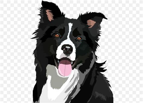 Collie Clipart Free 10 Free Cliparts Download Images On Clipground 2023