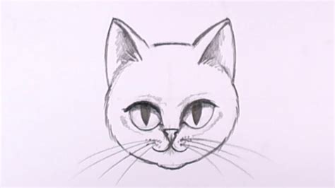 Vector black and white outline drawing cat face with paws vector. How to Draw a Cat Face in Pencil - Drawing Lesson - MAT ...