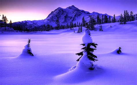 Free Download Winter Nature Wallpapers High Utter For Freee