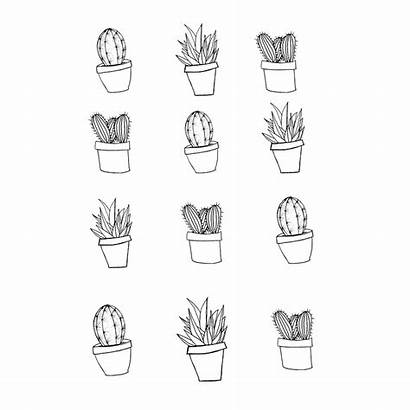 Aesthetic Cactus Drawing Simple Easy Drawn Clipart