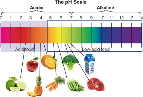 Ph Measurement Of Pickled Fruits And Vegetables Laqua Water Quality