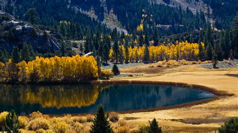Autumn Lake Trees Mountains 4k 3840×2160 8k Ultra Hd