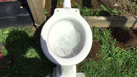 335 Standard Modernus Toilet Flushing Golf Balls Youtube