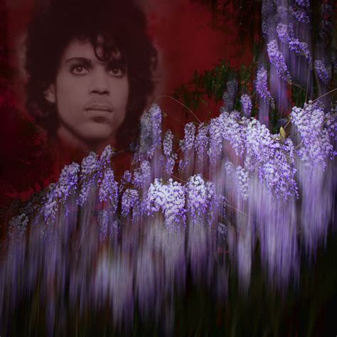 Remembering Prince Forever Royal The Artist Prince Life Goes On