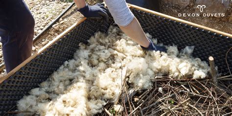 Ten Unusual Uses For Wool Our Top Tips
