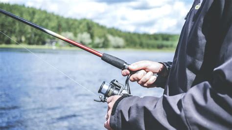 23 Fun Fish And Fishing Idioms With Examples And Definitions