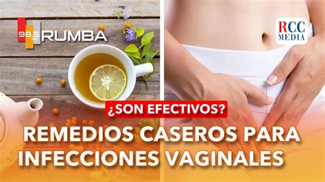 Introducir 59 Imagen Recetas Caseras Para Infeccion Estomacal Abzlocal Mx