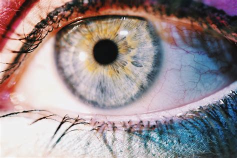 Free Images Art Beautiful Bright Close Up Color Creativity Eye