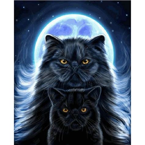 Diy Diamond Painting Cross Stitch Black Cat Moon Needlework 5d Diamond