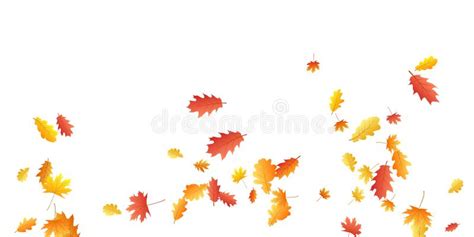 Oak And Maple Leaf Abstract Background Seasonal Vector Autumn Leaves
