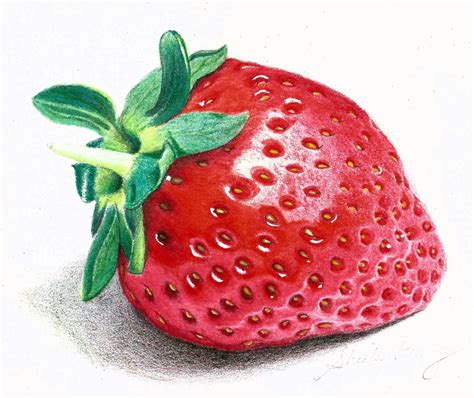 Strawberry Pencil Drawing At Getdrawings Free Download