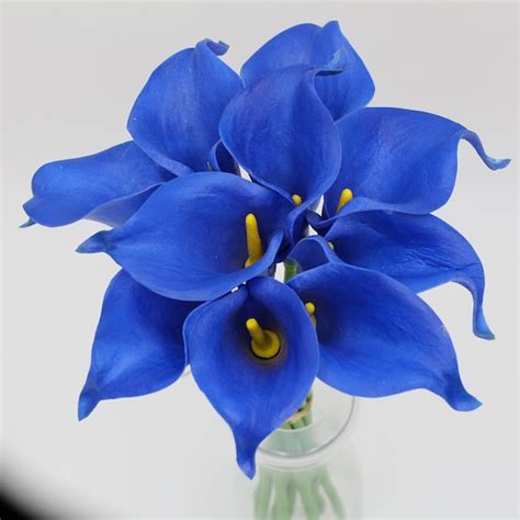 Royal Blue Calla Lily Bouquet Dark Blue Royal Wedding Flowers Etsy