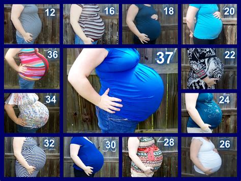 Pregnancy Week By Week Triplets