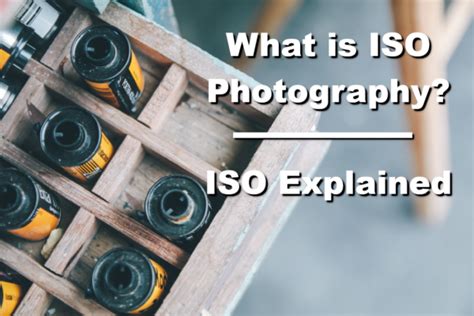 What Is Iso Photography Iso Explained Mirrorless Camera Hot Sex Picture