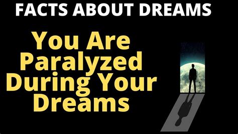 Interesting Facts About Dreams Youtube